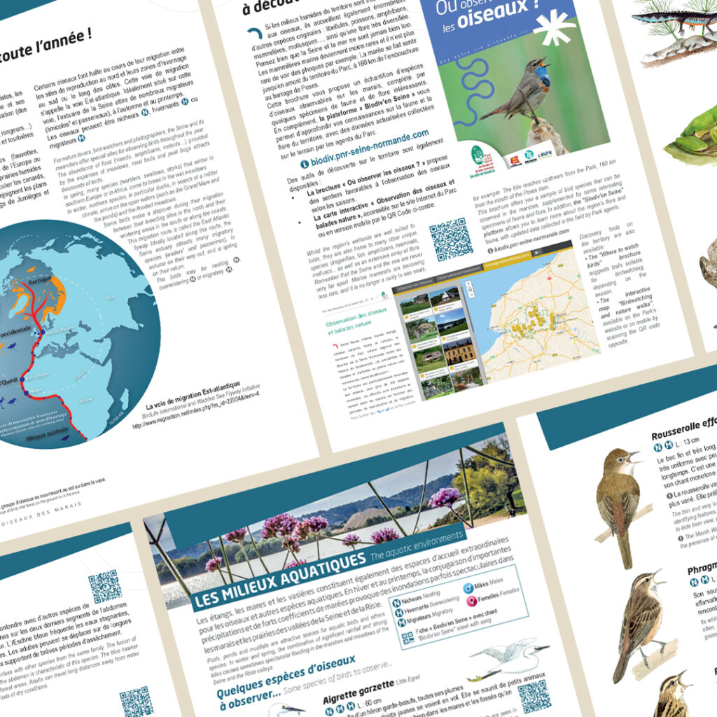 mise en page guide oiseaux parc naturel